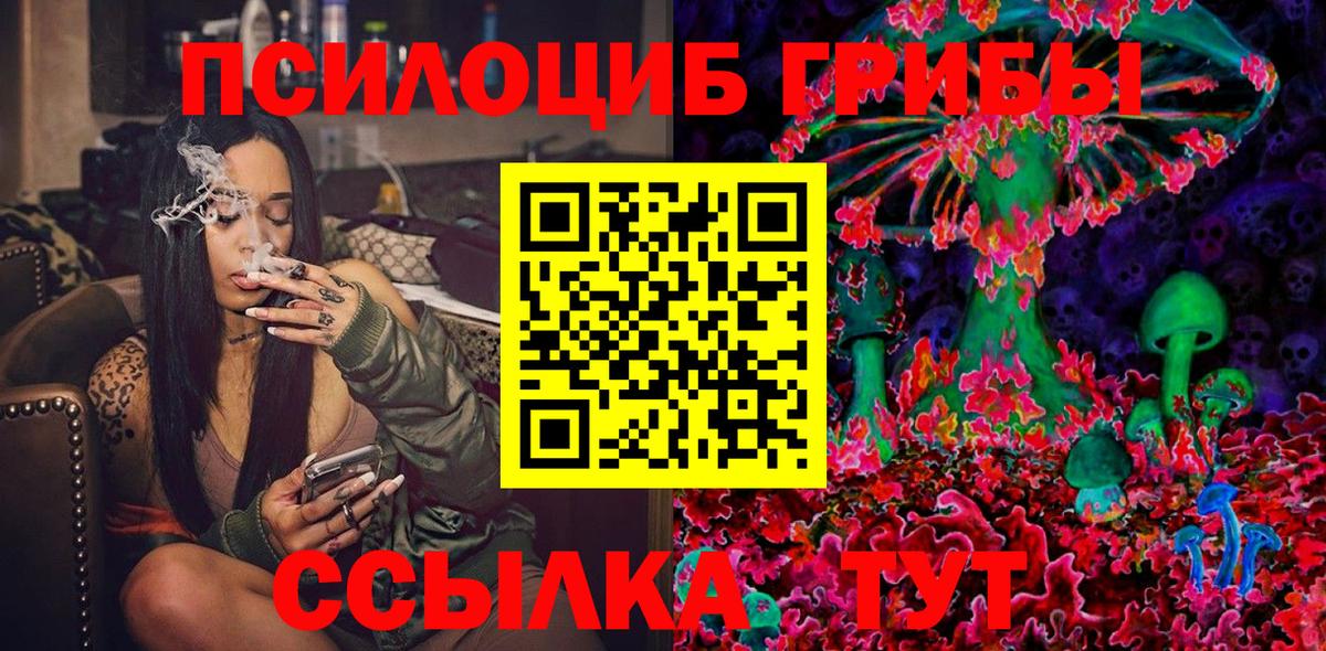 Новочебоксарск  Галлюциногенные грибы прущие грибы  Вход с VPN 